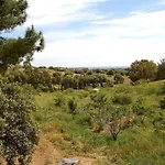Casa Artistica Vista Mare In Fattoria Naturale Holiday home Isola Ruia